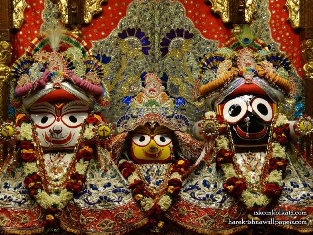 Jagannath Baladeva Subhadra Wallpaper (002)