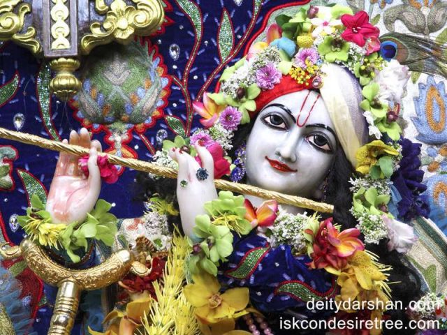 Sri Gopinath Close up Wallpaper (016)