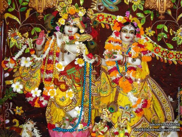 Sri Sri Radha Giridhari Wallpaper (006)