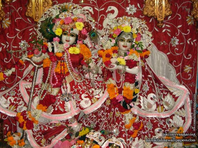 Sri Sri Radha Giridhari Wallpaper (012)