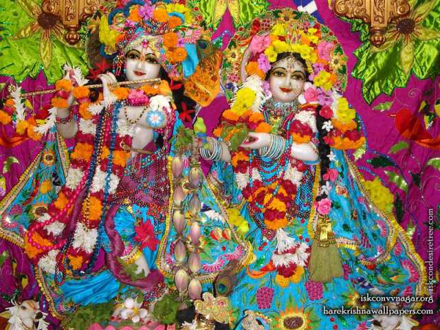 Sri Sri Radha Giridhari Wallpaper (015)