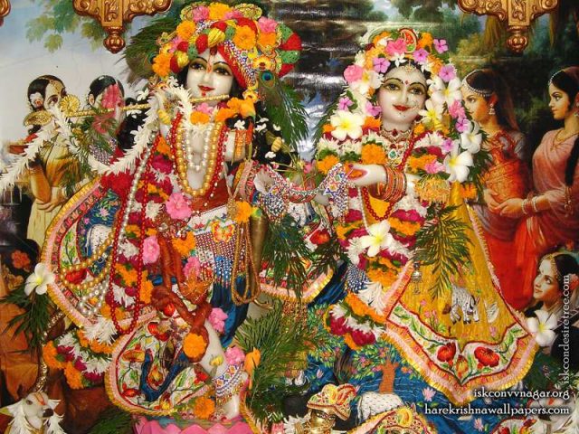 Sri Sri Radha Giridhari Wallpaper (017)