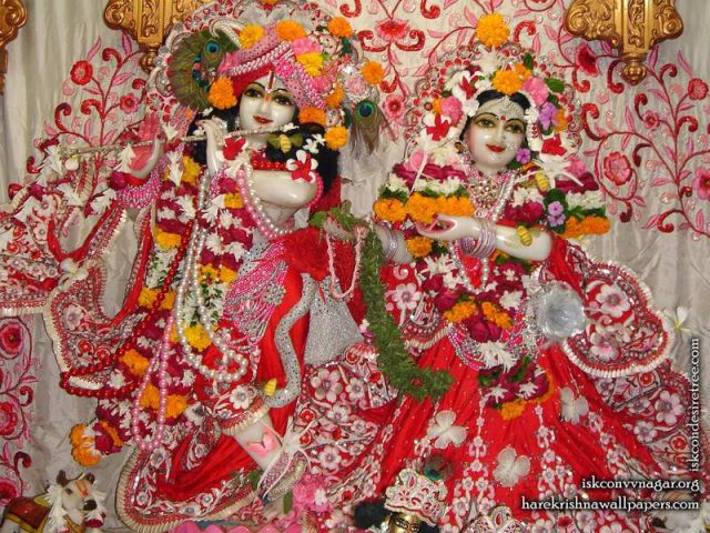 Sri Sri Radha Giridhari Wallpaper (018)