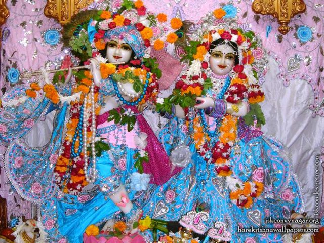 Sri Sri Radha Giridhari Wallpaper (019)