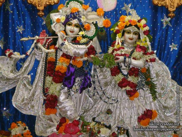 Sri Sri Radha Giridhari Wallpaper (020)