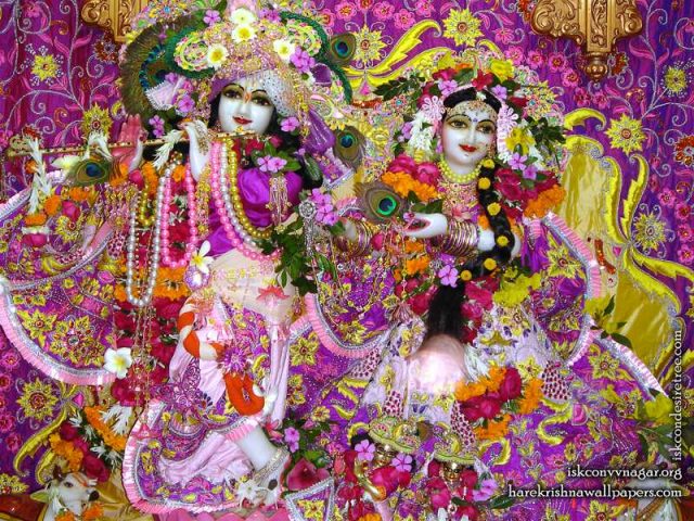 Sri Sri Radha Giridhari Wallpaper (021)