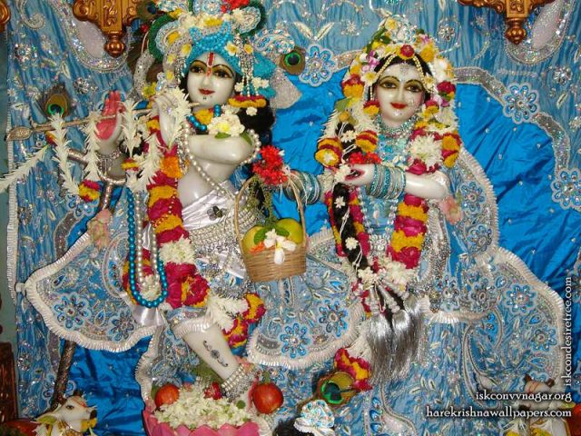 Sri Sri Radha Giridhari Wallpaper (022)