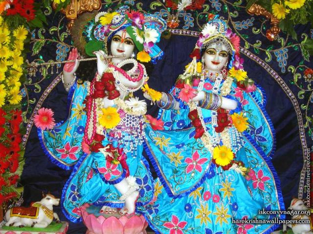 Sri Sri Radha Giridhari Wallpaper (023)
