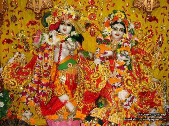 Sri Sri Radha Giridhari Wallpaper (024)