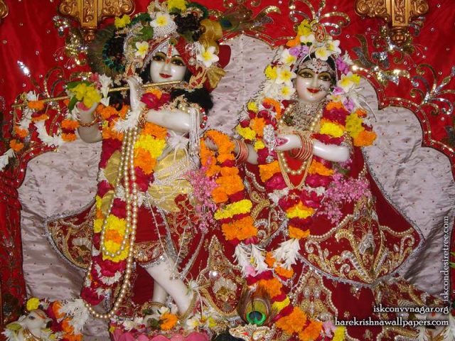 Sri Sri Radha Giridhari Wallpaper (027)