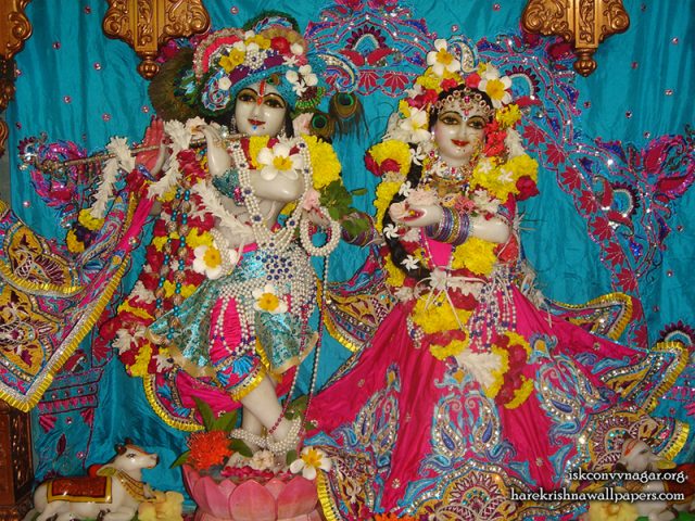 Sri Sri Radha Giridhari Wallpaper (030)