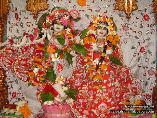 Sri Sri Radha Giridhari Wallpaper (031)
