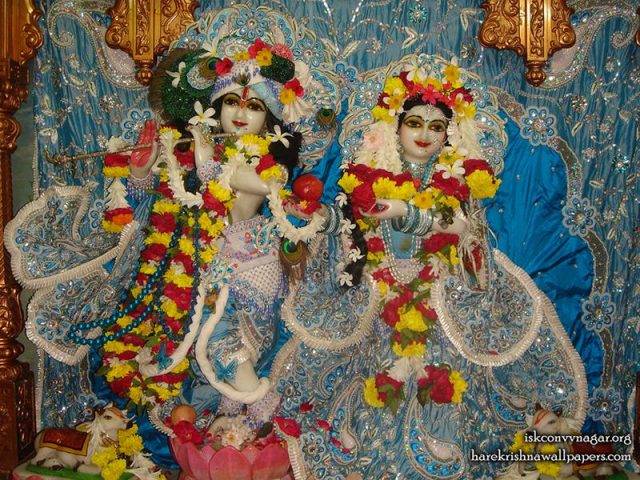 Sri Sri Radha Giridhari Wallpaper (032)