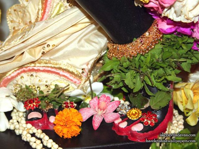 Sri Shyamsundar Feet Wallpaper (001)