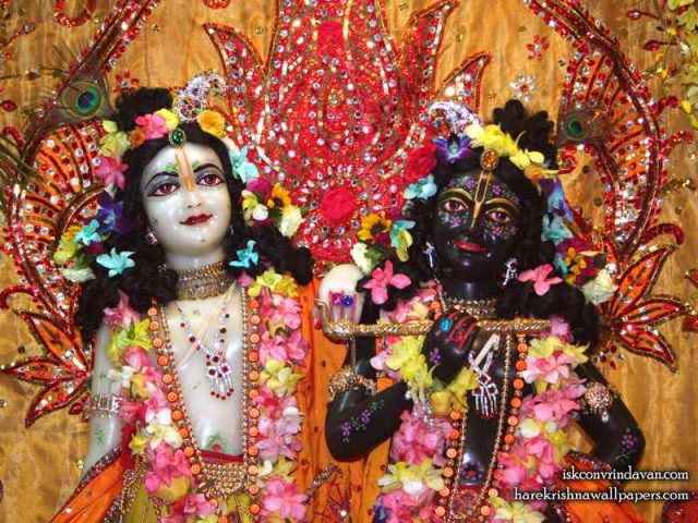 Sri Sri Krishna Balaram Close up Wallpaper (001)