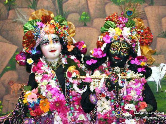 Sri Sri Krishna Balaram Close up Wallpaper (003)