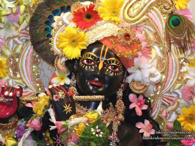 Sri Shyamsundar Close up Wallpaper (019)
