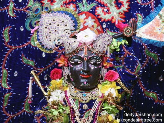Sri Gopal Close up Wallpaper (002)