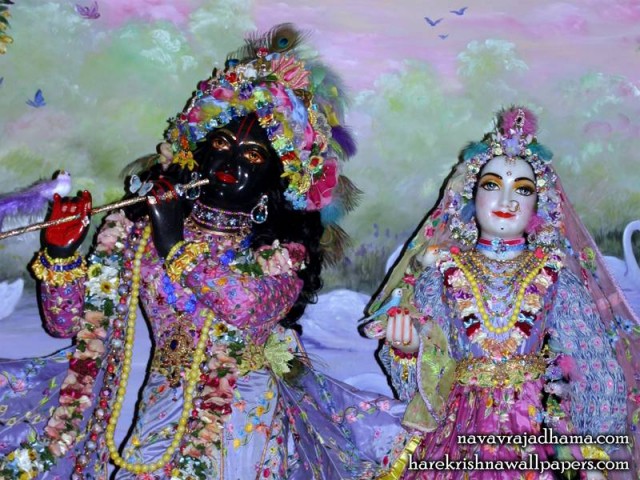 Sri Sri Radha Shyamsundar Close up Wallpaper (008)
