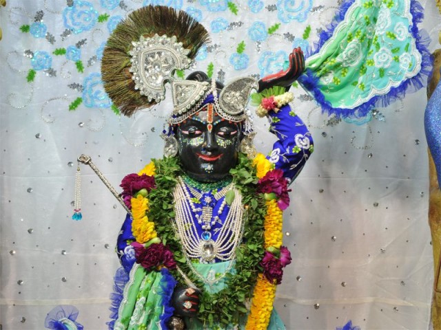 Sri Gopal Close up Wallpaper (019)