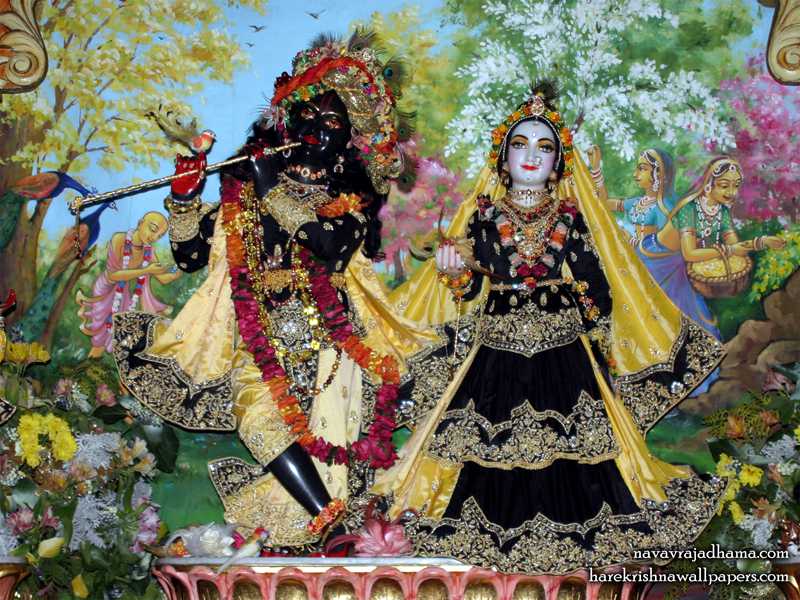 Sri Sri Radha Shyamsundar Wallpaper in black and Golden outfit | Hare Krishna  Wallpapers
