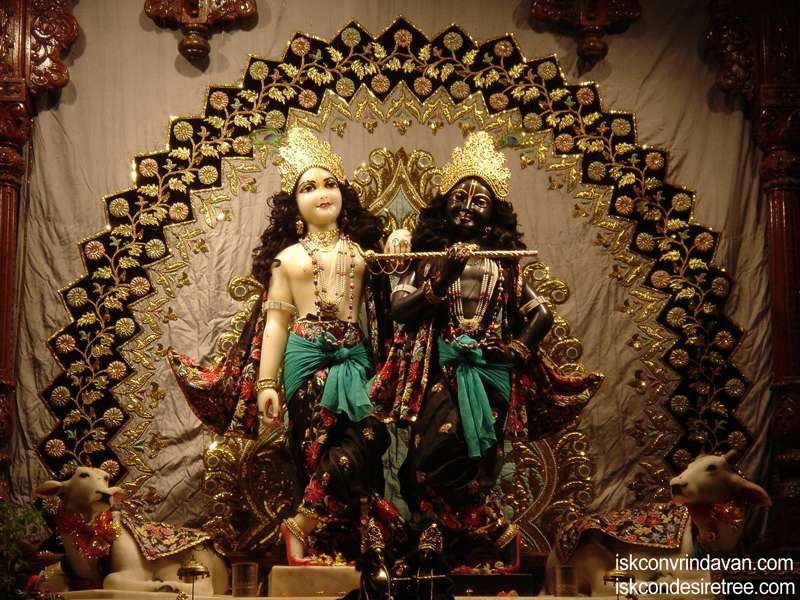 Wallpapers of Sri Radha Close Up From ISKCON Vrindavan | Hare Krishna  Wallpapers