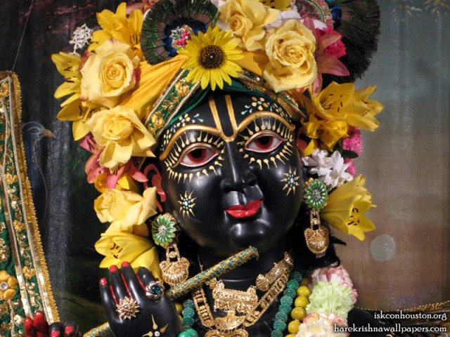 Sri Nilamadhava Close up Wallpaper (006)