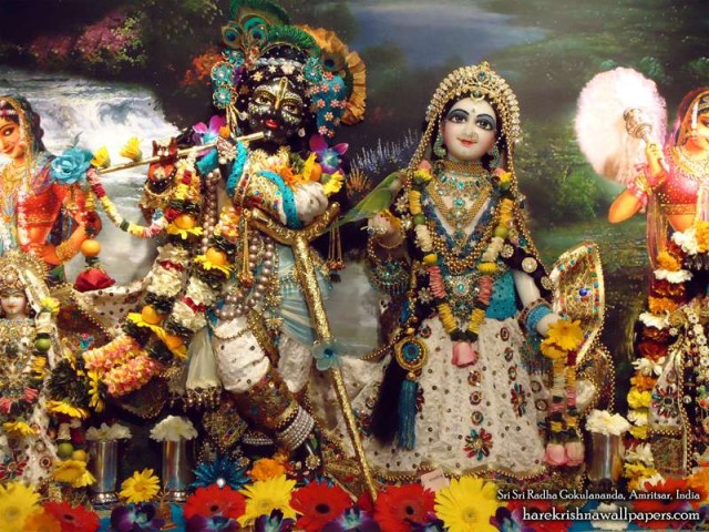 iskcon desire tree wallpapers hare krishna wallpapers iskcon desire tree wallpapers hare