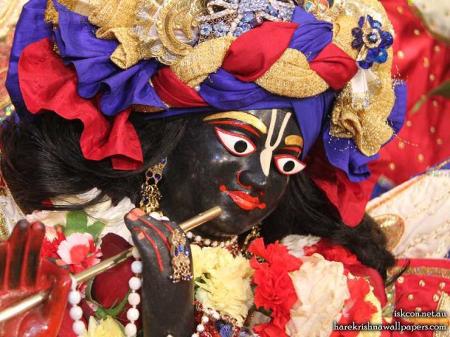 Sri Vallabh Close up Wallpaper (007)