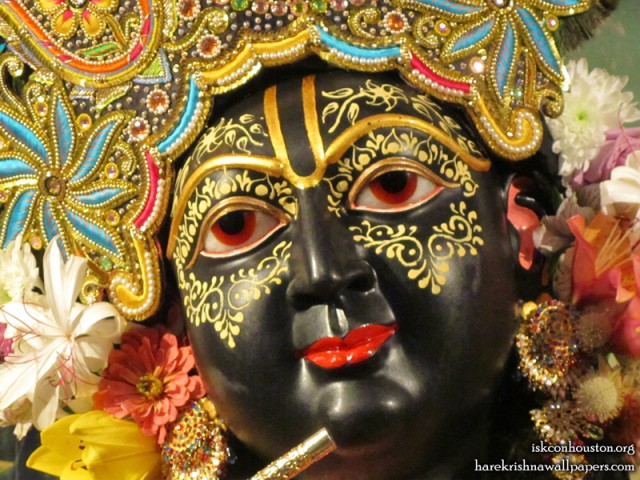 Sri Nilamadhava Close up Wallpaper (008)