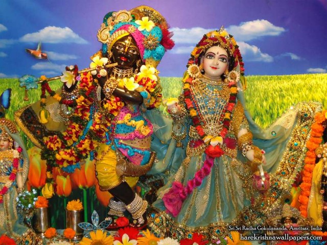 Sri Sri Radha Gokulananda Wallpaper (009)