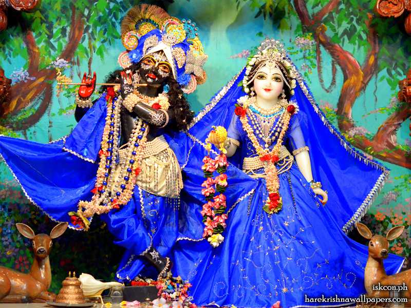 Sri Sri Radha Madhava Wallpaper in bright blue | Hare Krishna Wallpapers
