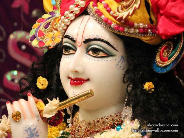 Sri Krishna Close up Wallpaper (012)