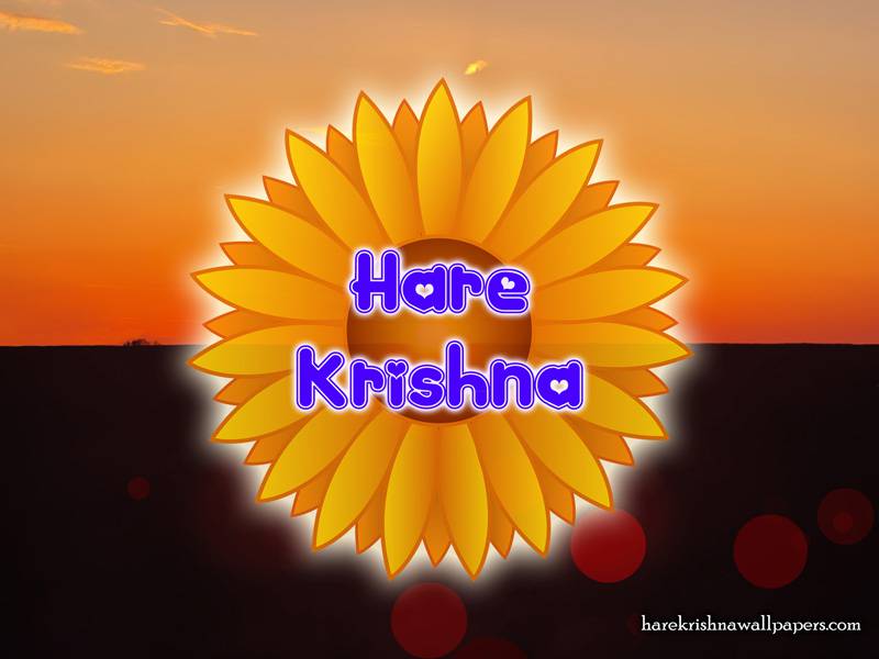 Hare Krishna Wallpaper with sunset background | Hare Krishna Wallpapers