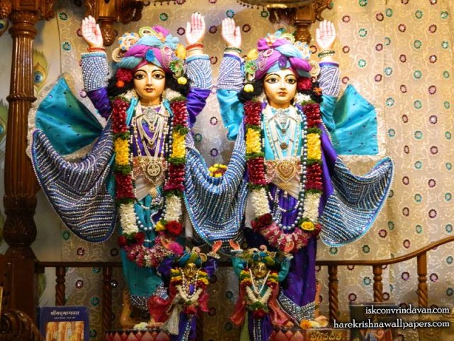 Sri Sri Gaura Nitai Wallpaper (008)