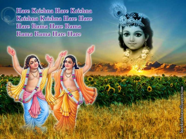 Chant Hare Krishna Mahamantra Wallpaper (018)