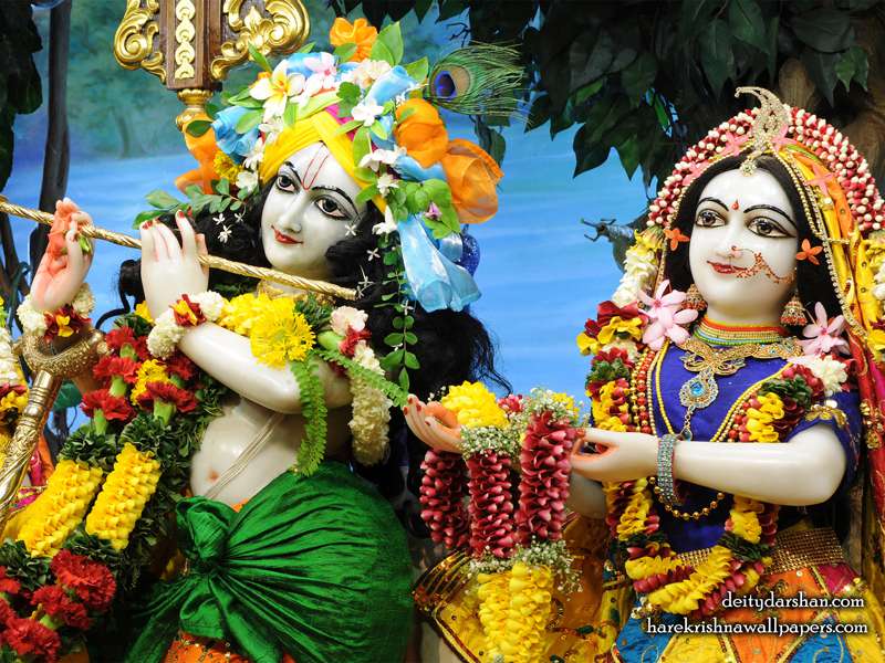 Sri Sri Radha Gopinath Close up, Free Download Wallpaper at your Desktop | Hare Krishna Wallpapers Sri Sri Radha Gopinath Close up, Free Download Wallpaper at your Desktop | Hare Krishna Wallpapers