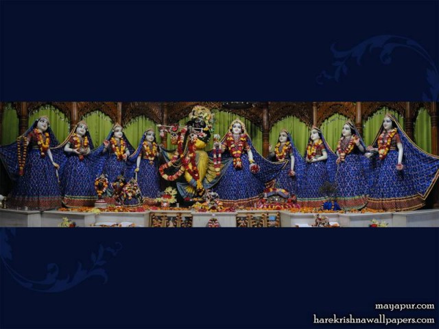 Sri Sri Radha Madhava with Ashta Sakhi Wallpaper (010)