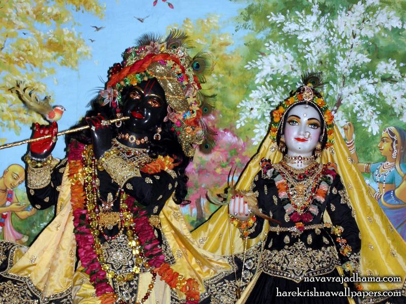 Sri Sri Radha Shyamsundar Close up Wallpaper in black and gold outfit |  Hare Krishna Wallpapers