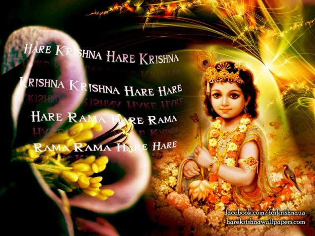 Krishna Wallpaper (011)