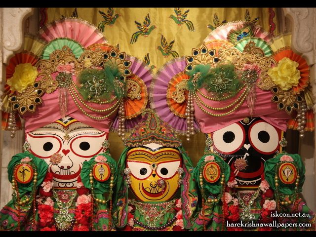 Jagannath Baladeva Subhadra Wallpaper (001) Size 1280×1024 Download