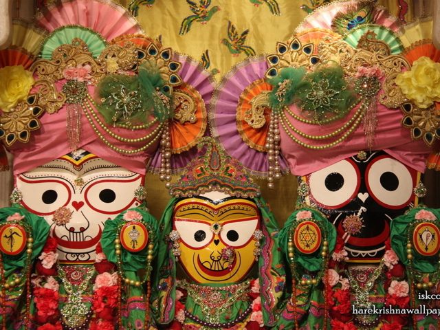 Jagannath Baladeva Subhadra Wallpaper (001) Size 1280×800 Download