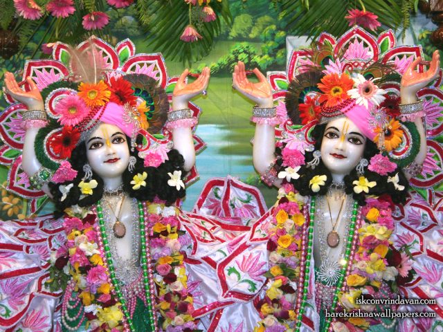 Sri Sri Gaura Nitai Close up Wallpaper (001) Size 1024×768 Download