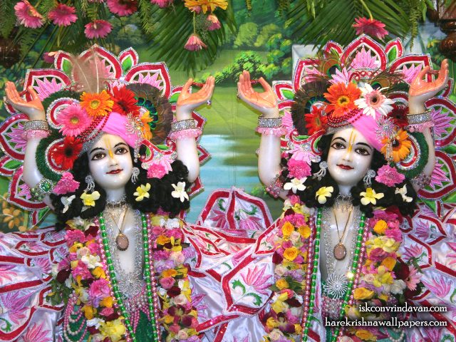 Sri Sri Gaura Nitai Close up Wallpaper (001) Size 1280×1024 Download