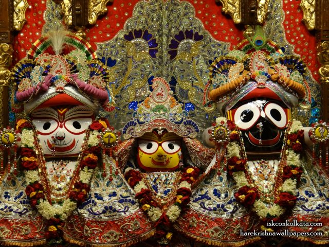 Jagannath Baladeva Subhadra Wallpaper (002) Size 1024×768 Download