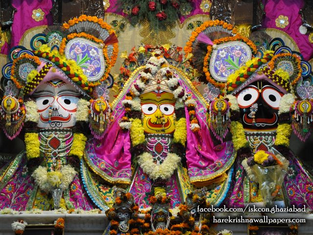 Jagannath Baladeva Subhadra Wallpaper (002) Size 1280×1024 Download