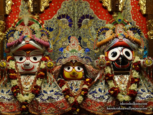 Jagannath Baladeva Subhadra Wallpaper (002) Size 1280×1024 Download