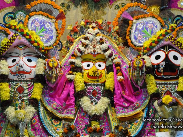 Jagannath Baladeva Subhadra Wallpaper (002) Size 1280×720 Download