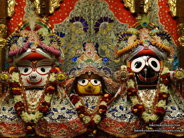 Jagannath Baladeva Subhadra Wallpaper (002) Size 1280×960 Download