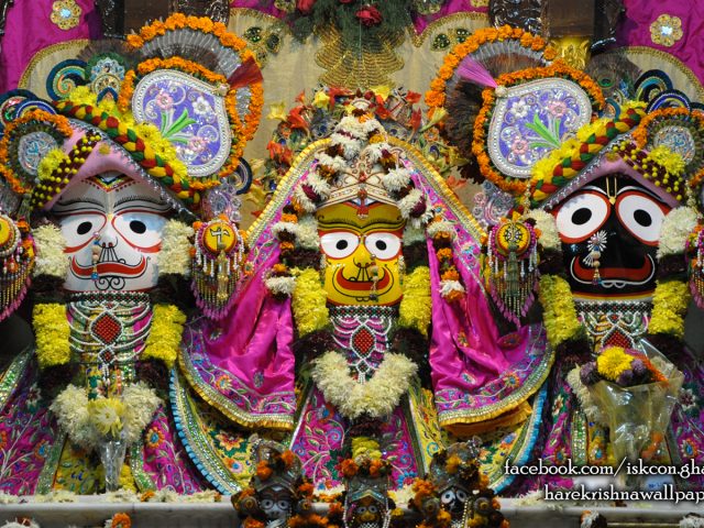 Jagannath Baladeva Subhadra Wallpaper (002) Size 1440×900 Download